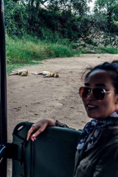 african lions game drive kruger national park